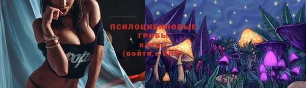 дурь Белоозёрский