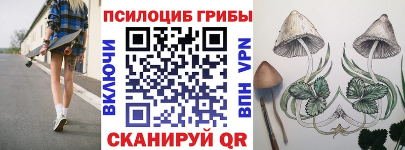 Псилоцибиновые грибы Psilocybine cubensis  Гаврилов-Ям 